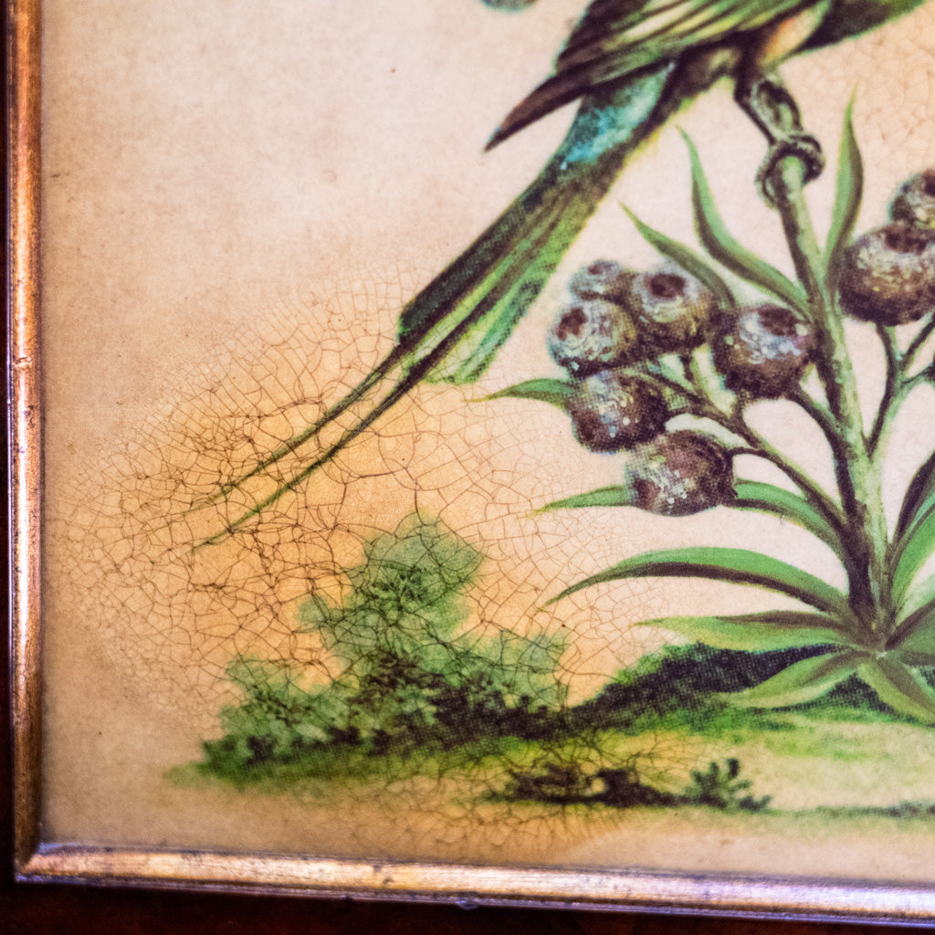 Hummingbird Framed Art
