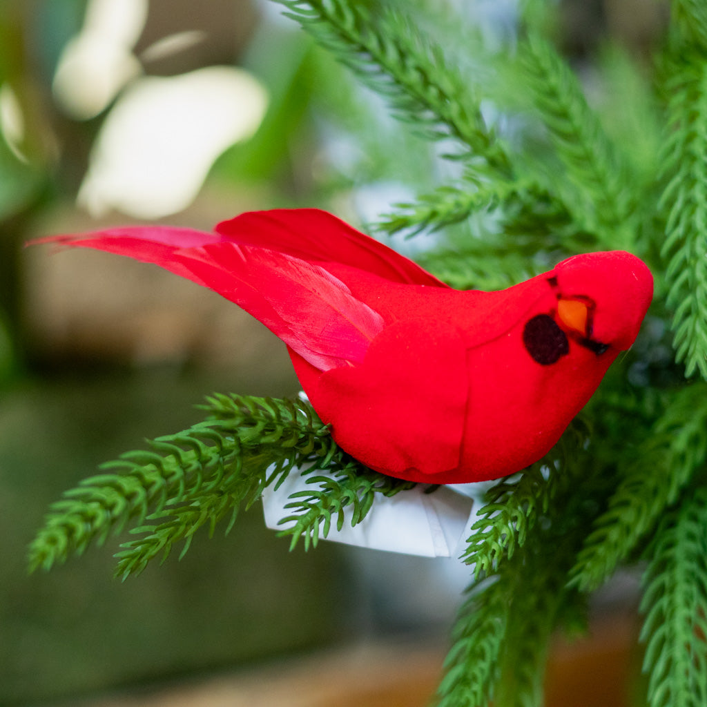 Velvet Feather Red Cardinal Clip Ornament