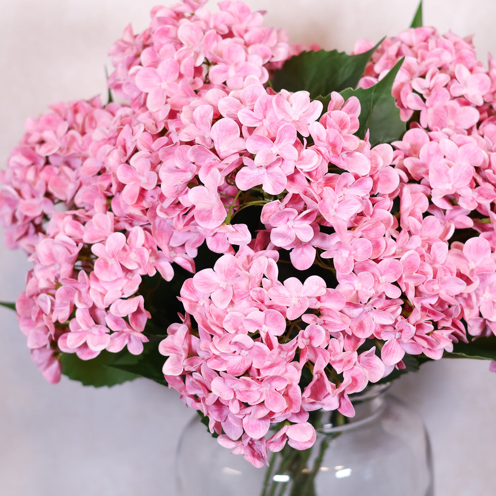 Pink Hydrangea Garden Bush Natural Touch