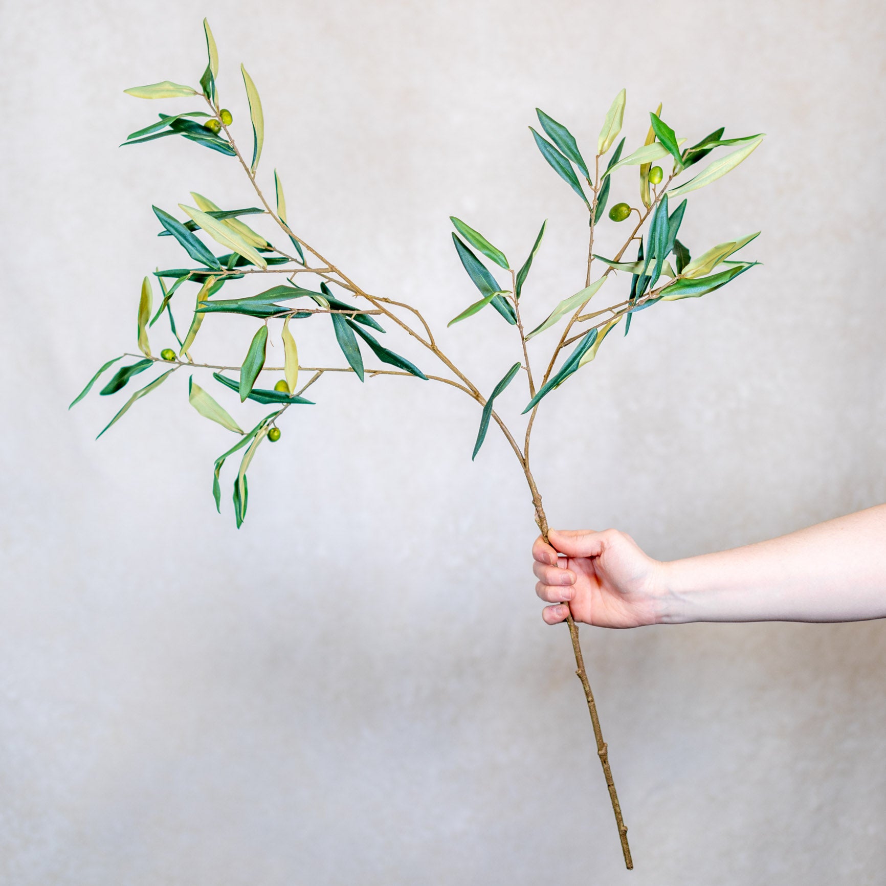 Italian Olive Spray Stem