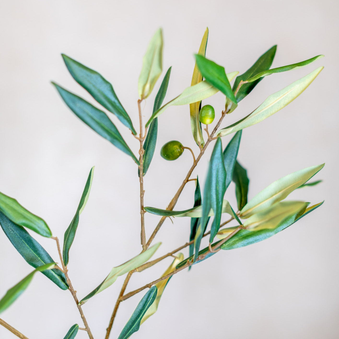 Italian Olive Spray Stem