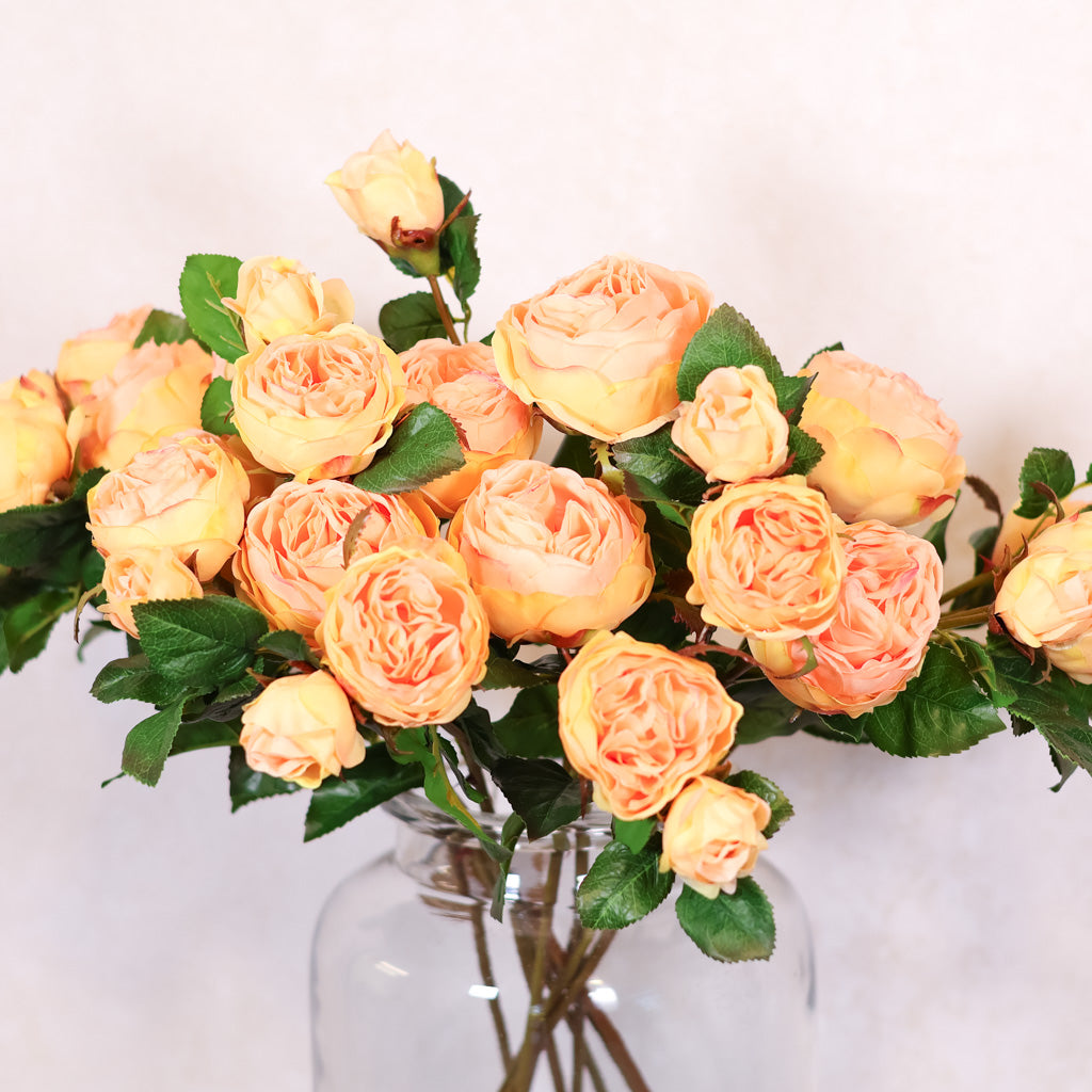 Light Coral Floribunda Rose and Bud Just Cut