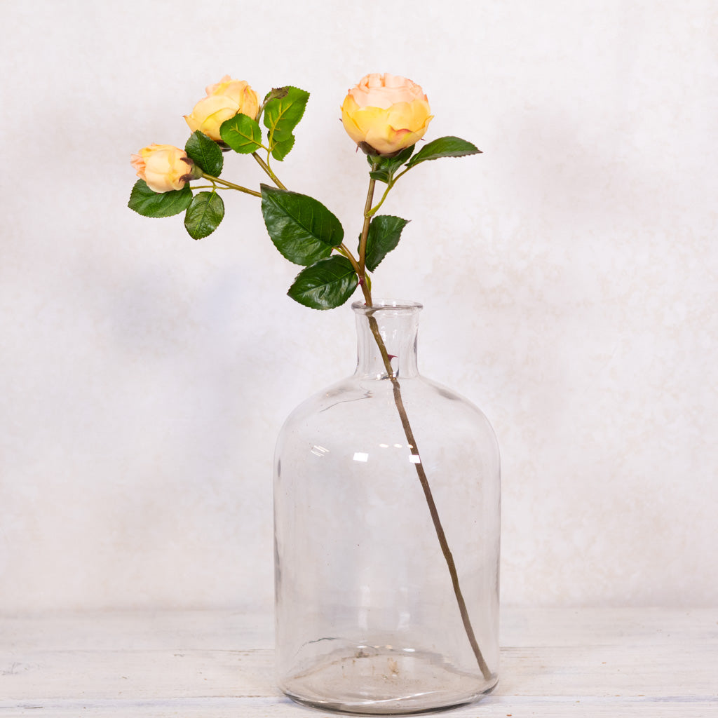 Light Coral Floribunda Rose and Bud Just Cut