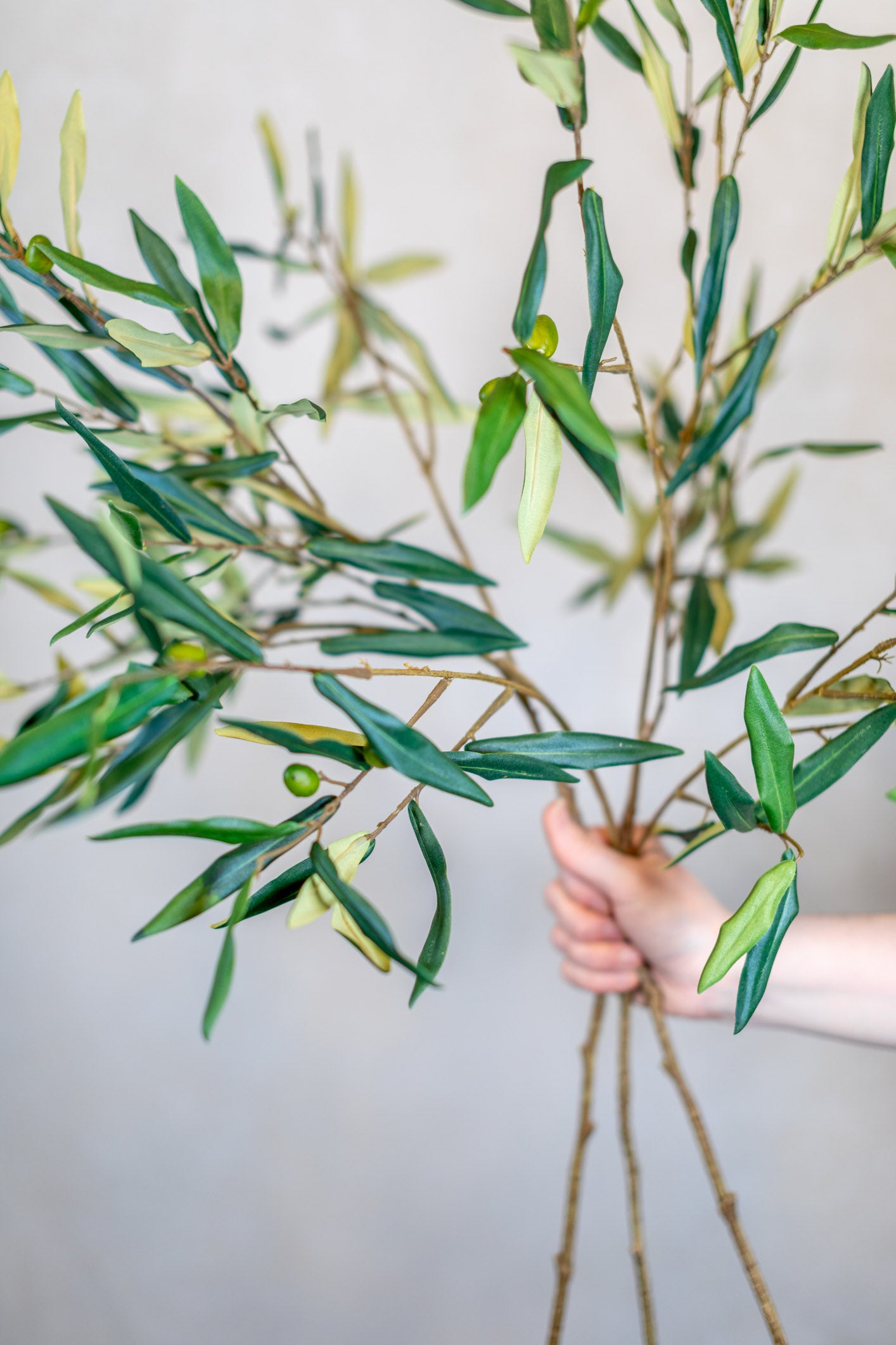 Italian Olive Spray Stem