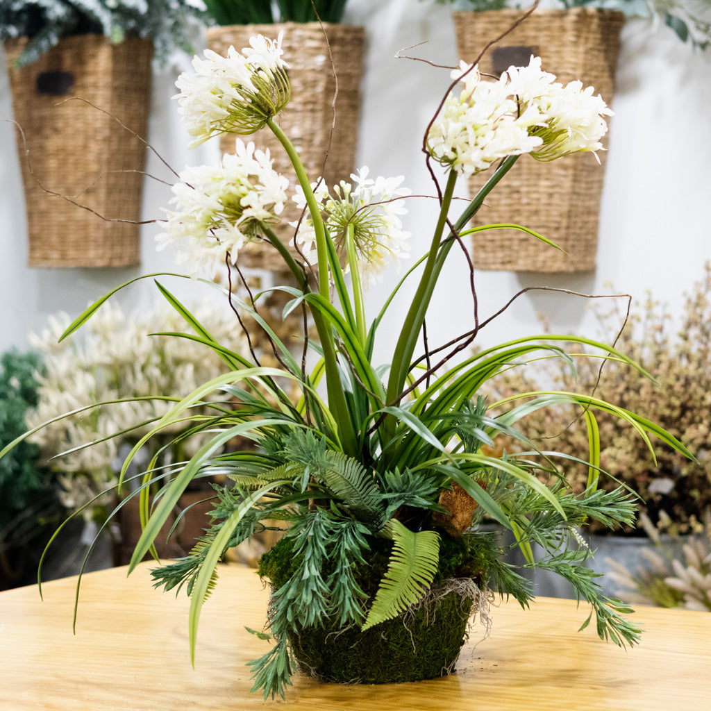 Deluxe White Agapanthus Drop-In