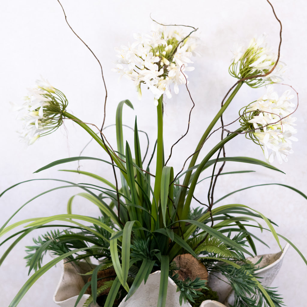 Deluxe White Agapanthus Drop-In