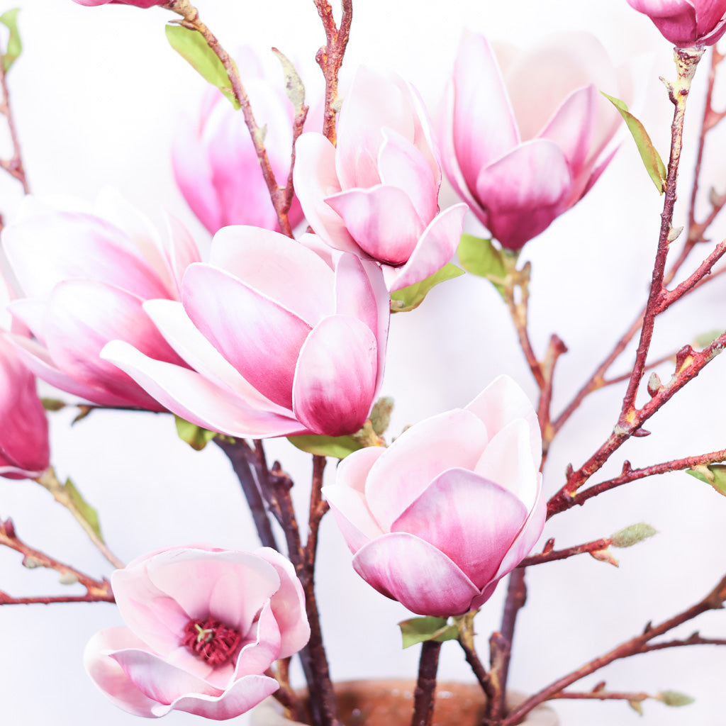 Pink Saucer Magnolia Spray Stem