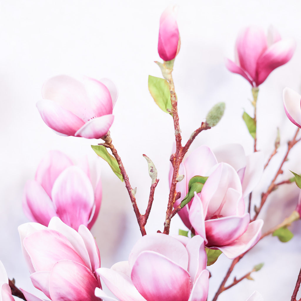 Pink Saucer Magnolia Spray Stem