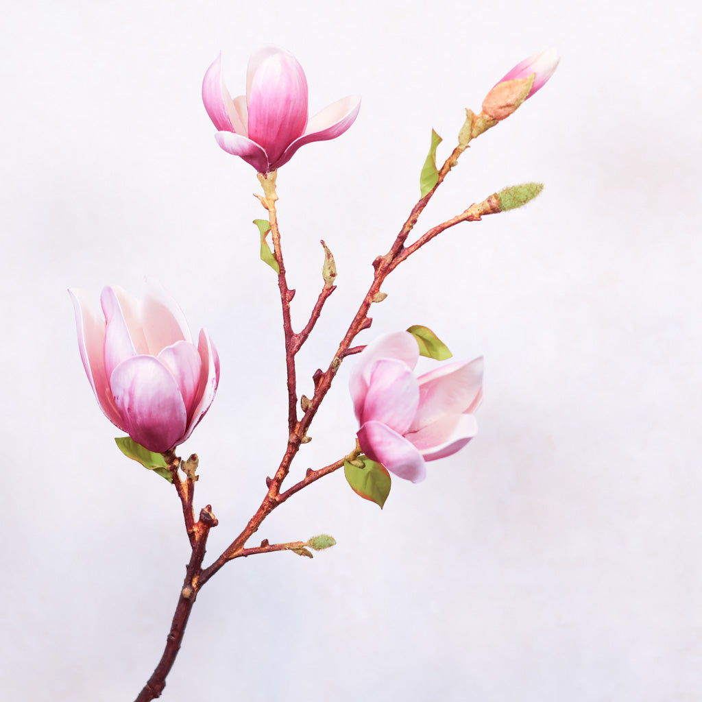 Pink Saucer Magnolia Spray Stem