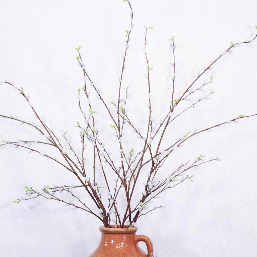 Pussy Willow Branch