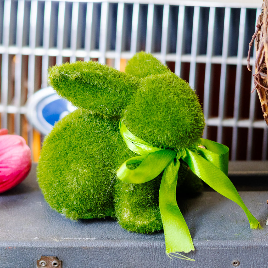 Happy the Moss Rabbit