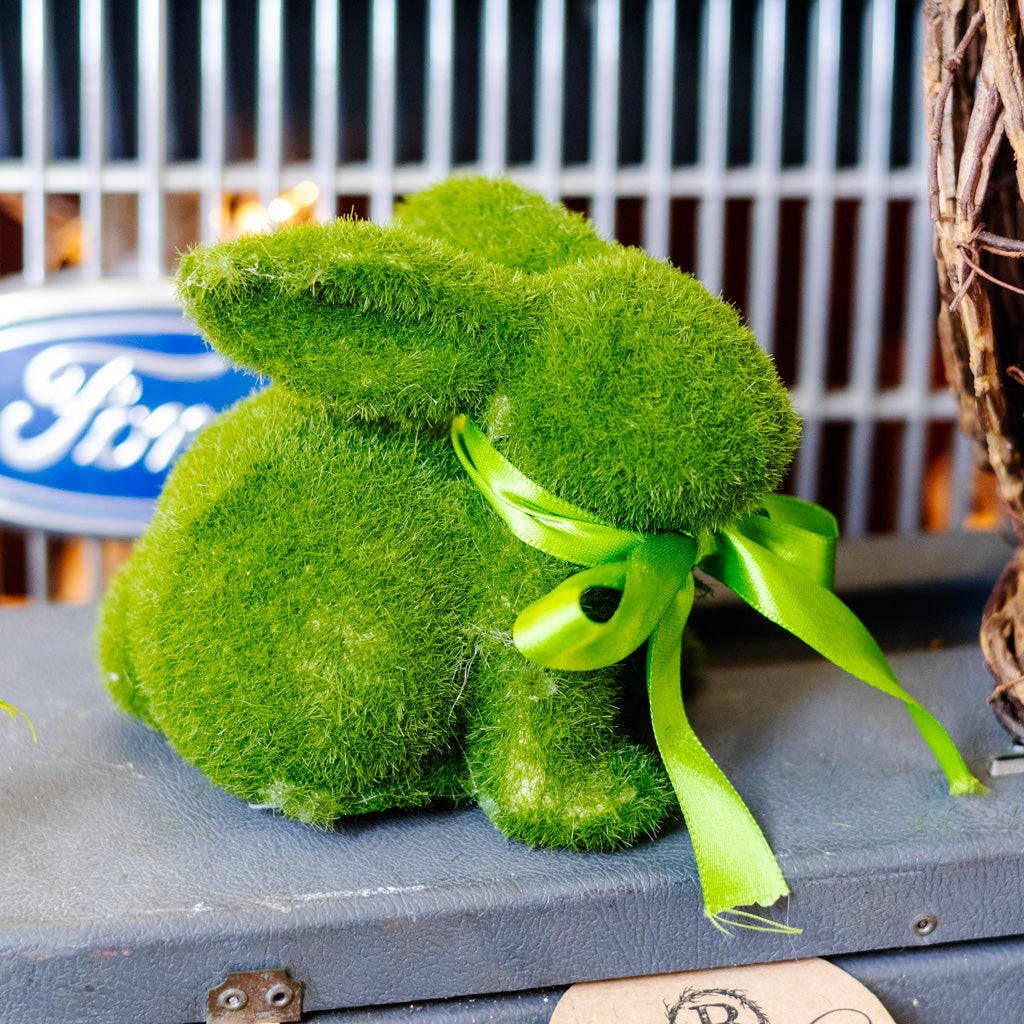 Happy the Moss Rabbit