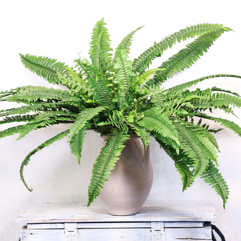 Estate Boston Fern UV Resistant Bush Large