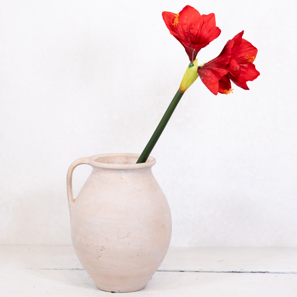 Red Amaryllis with Two Blooms and Bud