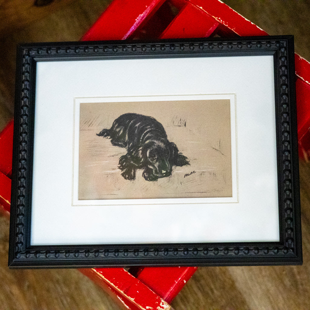 Framed Vintage Black Cocker Spaniel Sketch
