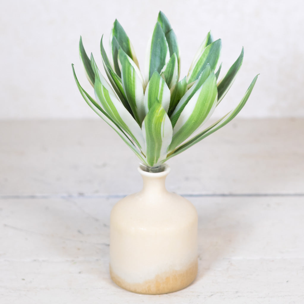 Echeveria Succulent Green/Cream/Pink Stem