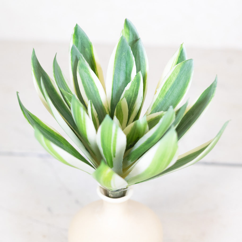Echeveria Succulent Green/Cream/Pink Stem