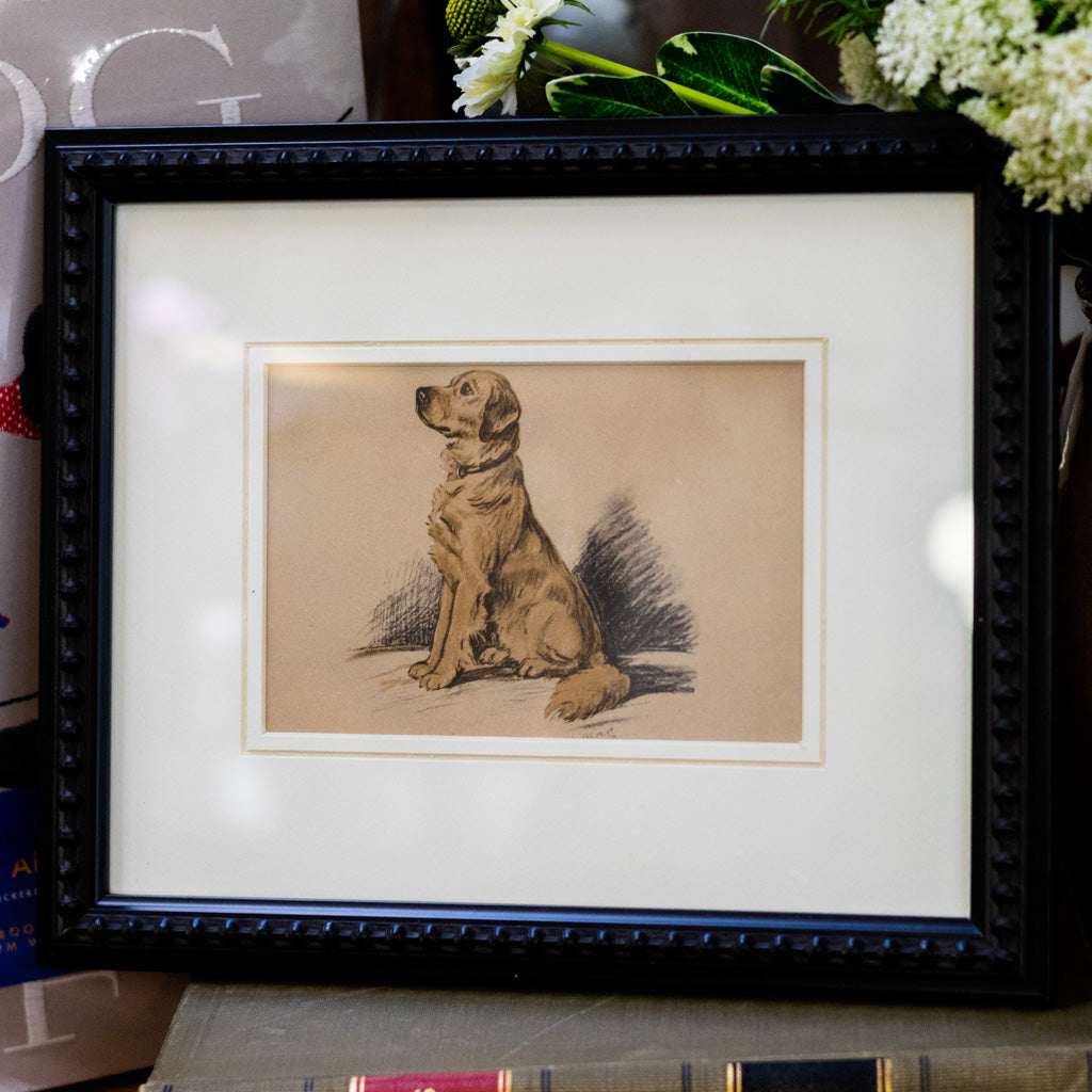 Framed Vintage Golden Retriever Sketch
