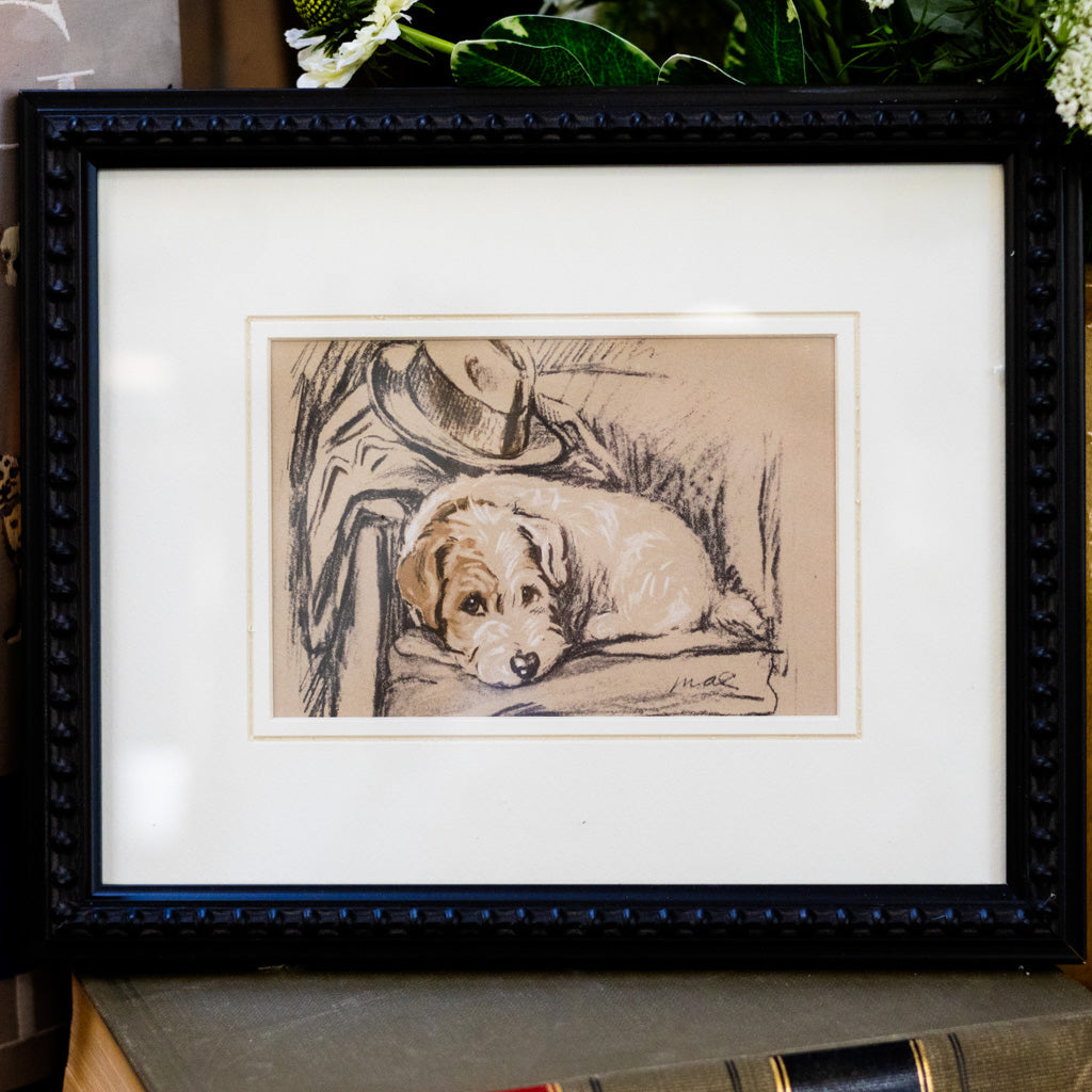 Framed Vintage Sealyham Terrier Sketch