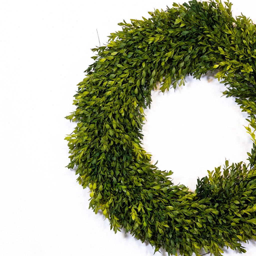 24"D Boxwood Wreath Large
