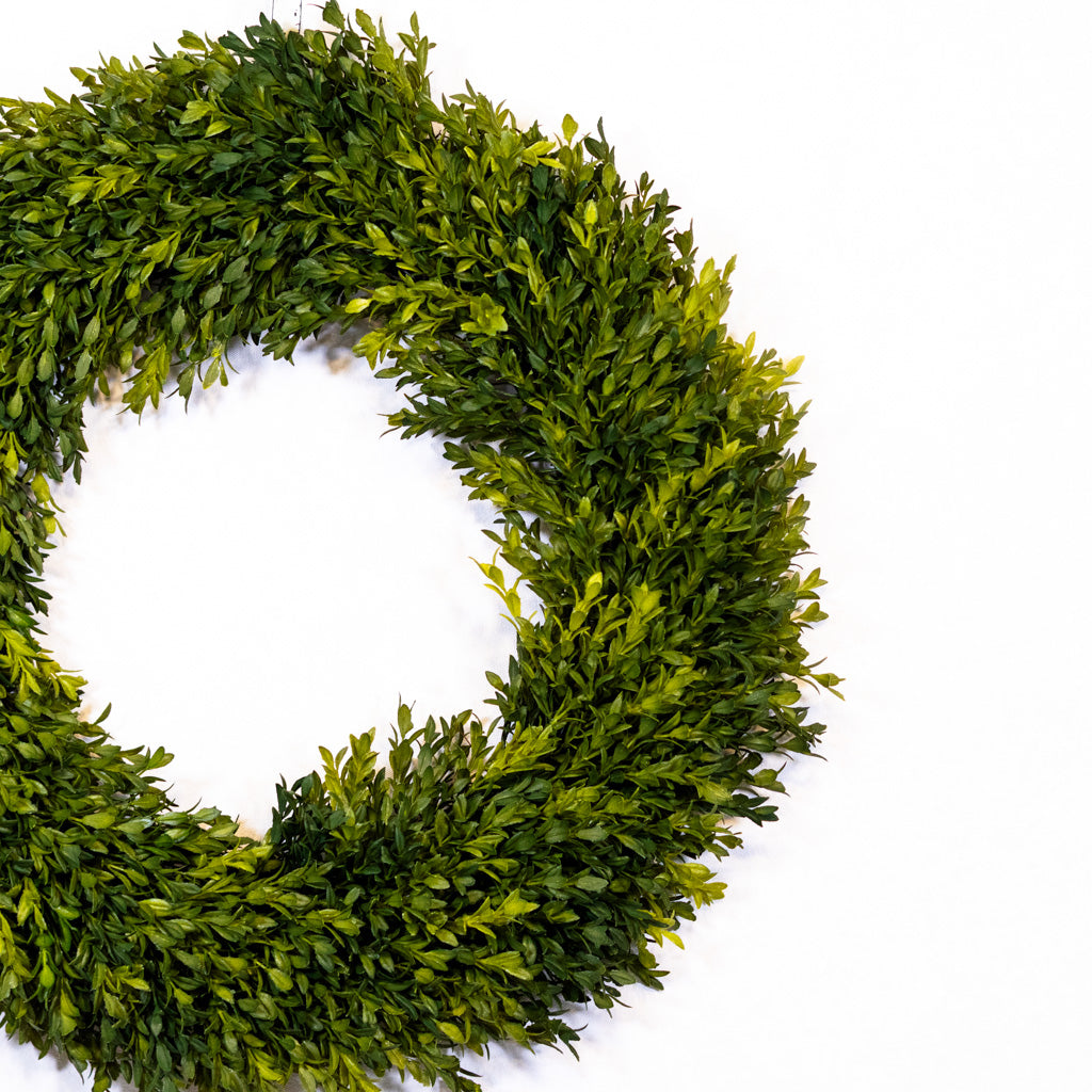 24"D Boxwood Wreath Large
