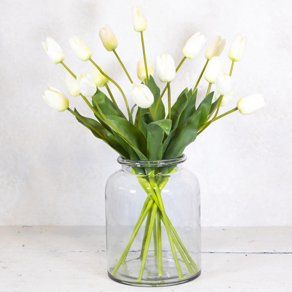 White Darwin Tulip Blooms Natural Touch