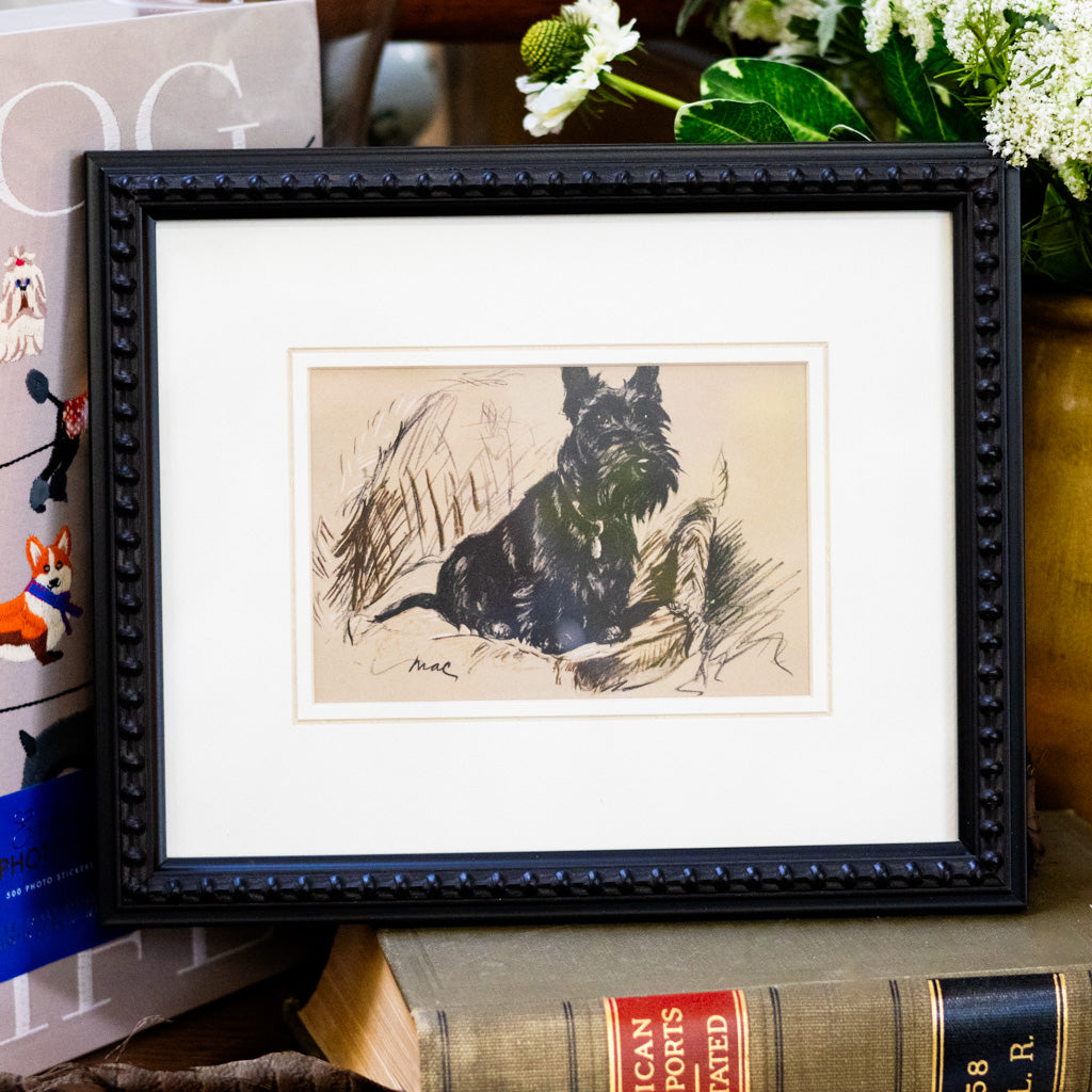 Framed Vintage Black Scottish Terrier Sketch