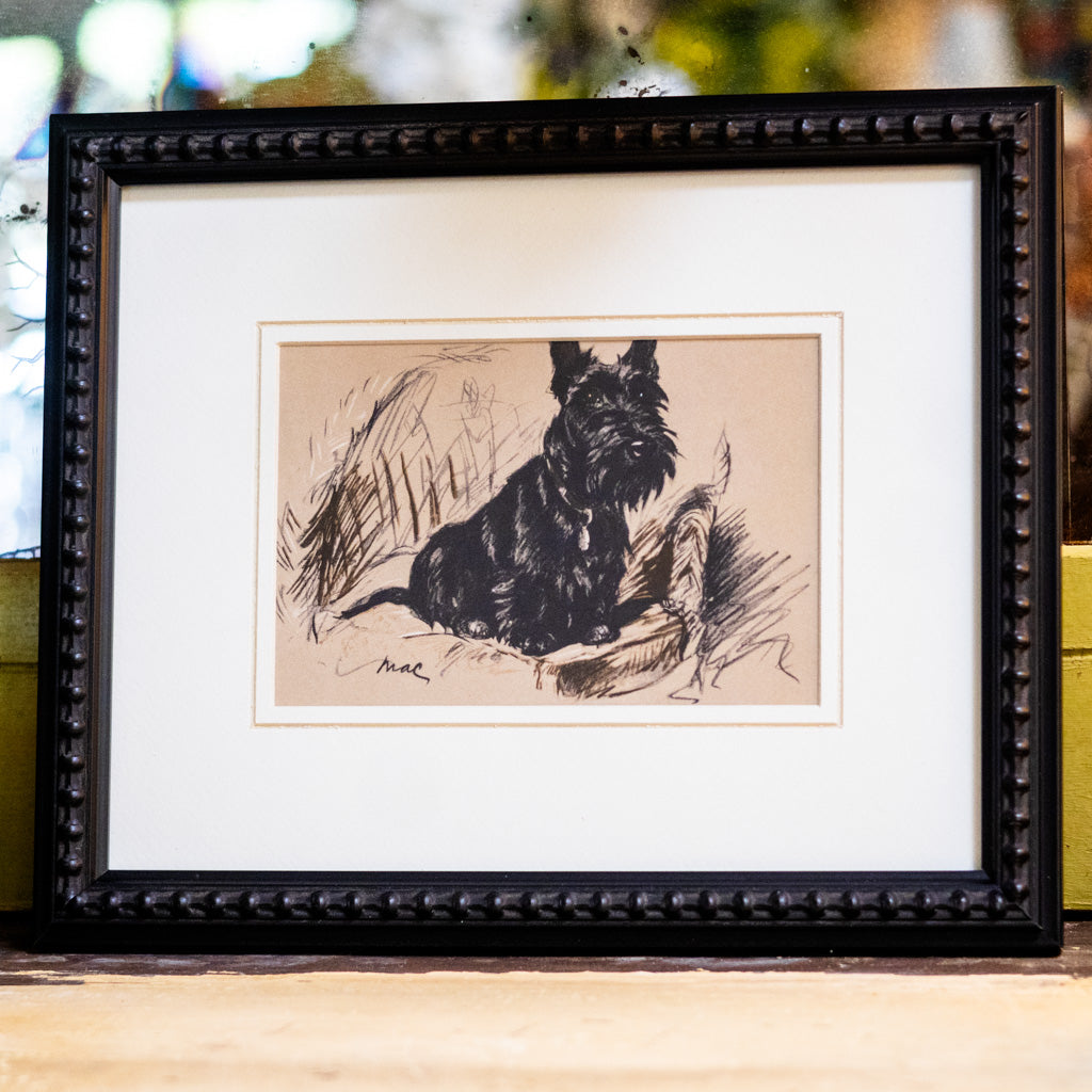 Framed Vintage Black Scottish Terrier Sketch