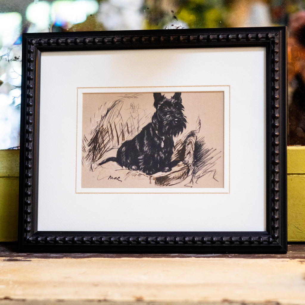 Framed Vintage Black Scottish Terrier Sketch