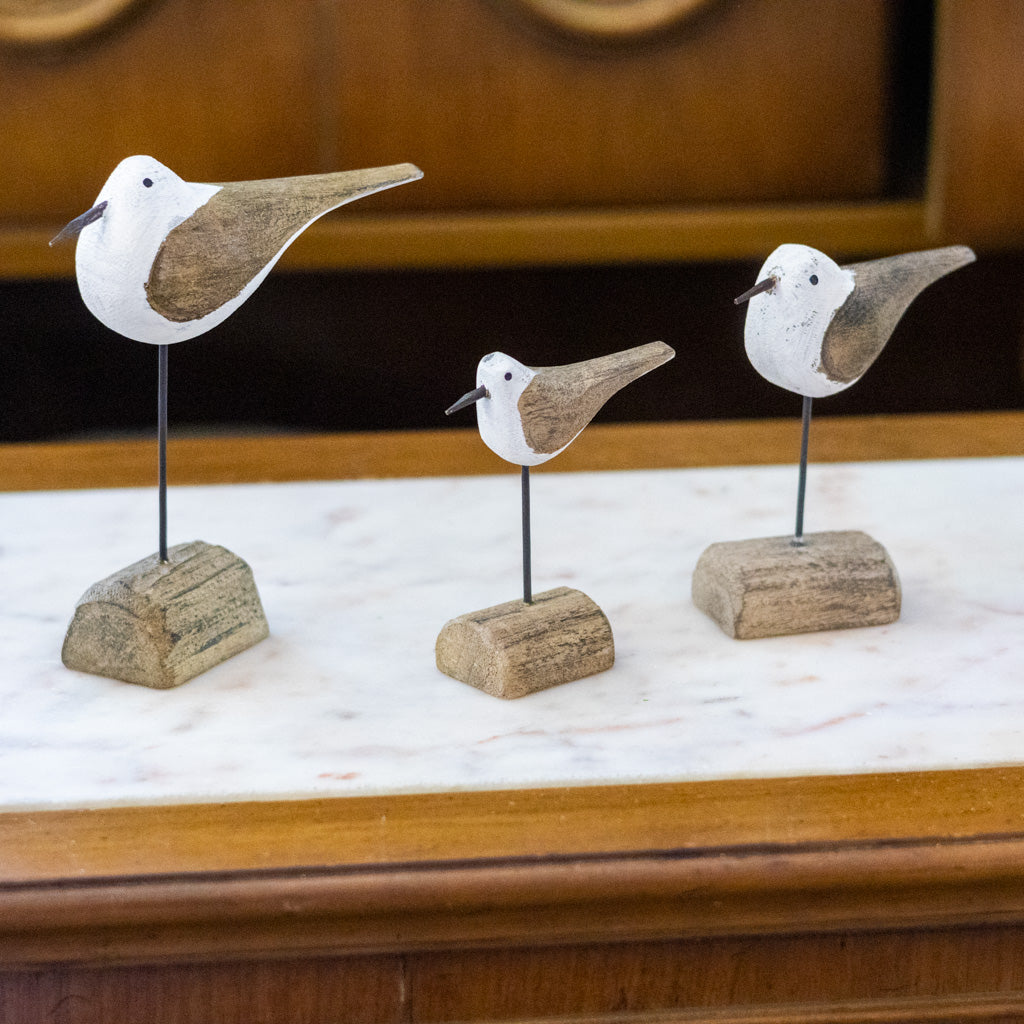 Seagull on Driftwood Short