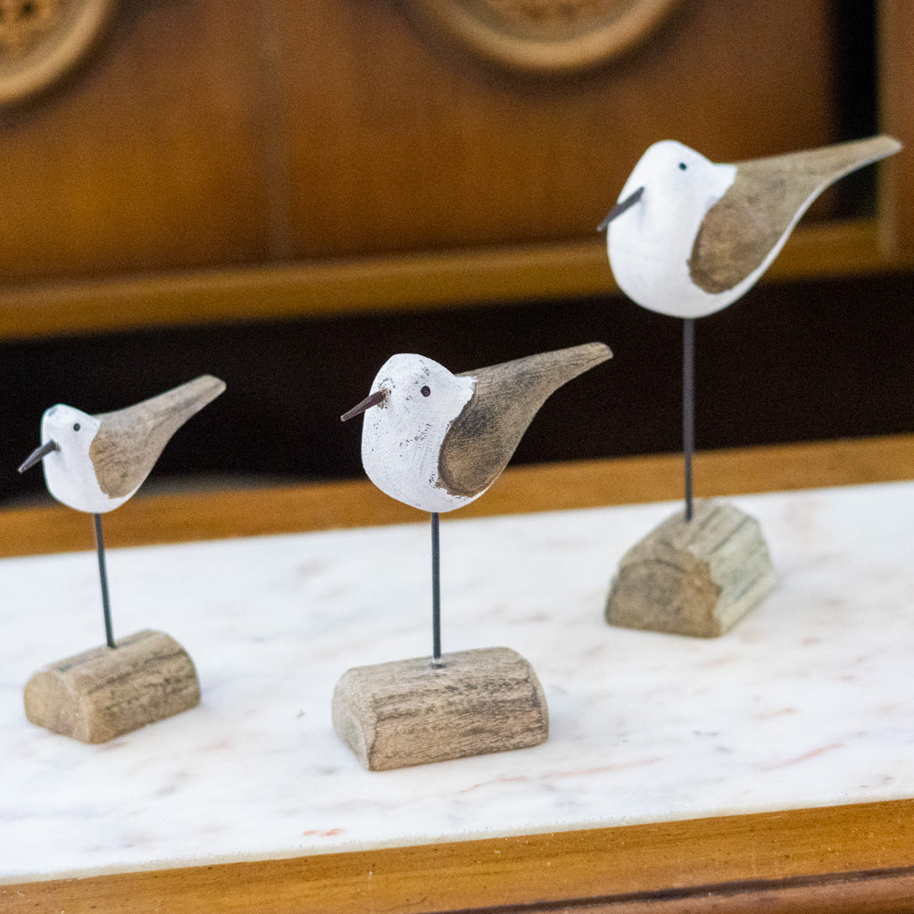 Seagull on Driftwood Medium