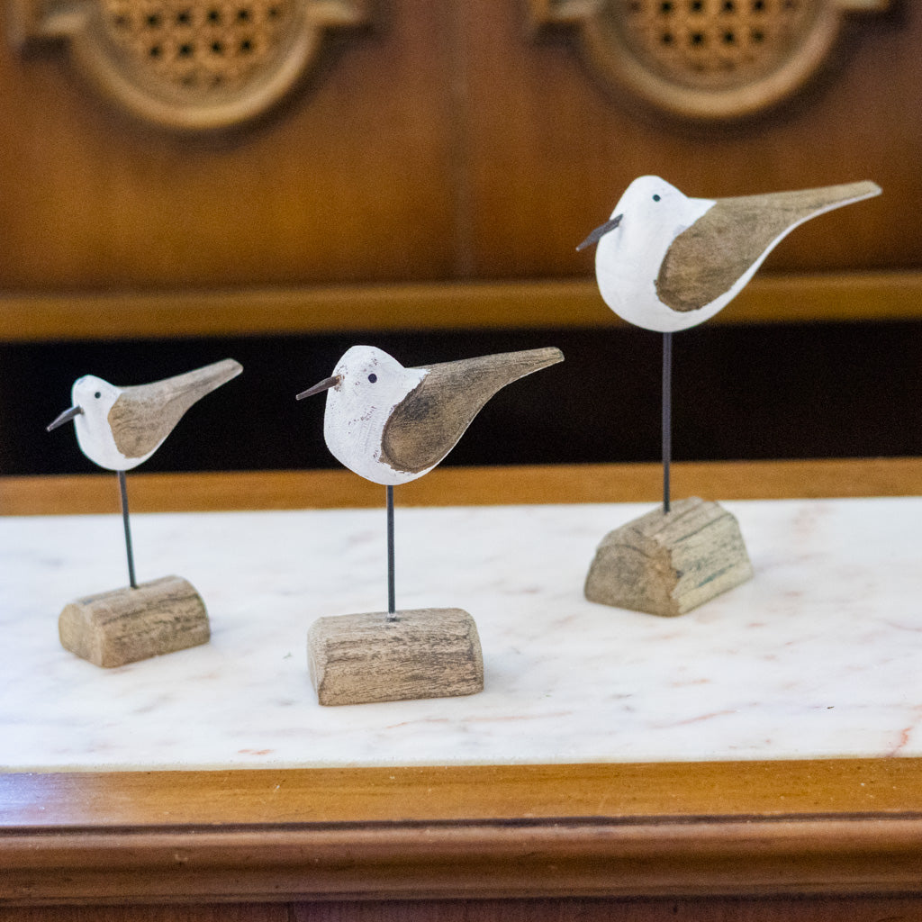 Seagull on Driftwood Medium