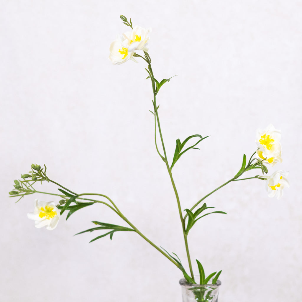 Cream Wild Delphinium Spray