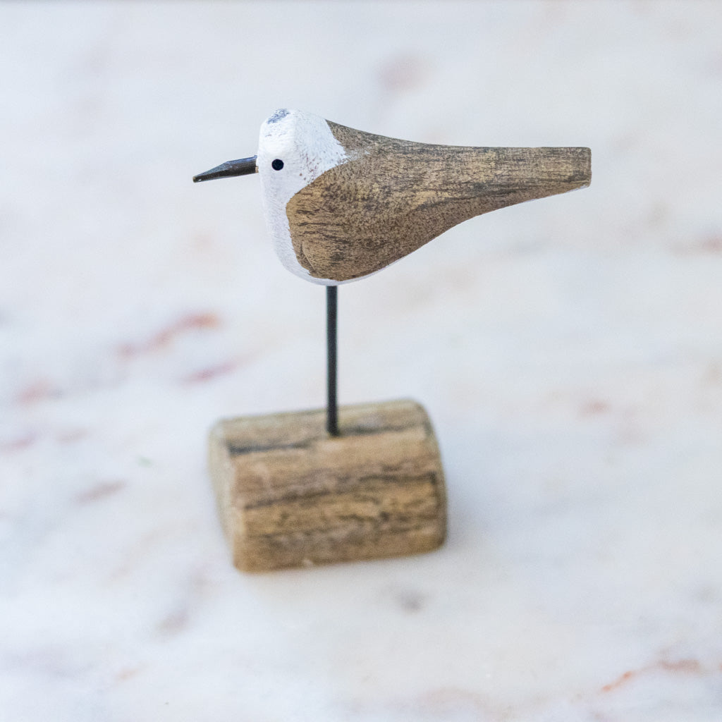 Seagull on Driftwood Short