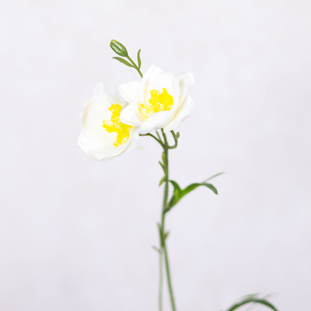 Cream Wild Delphinium Spray