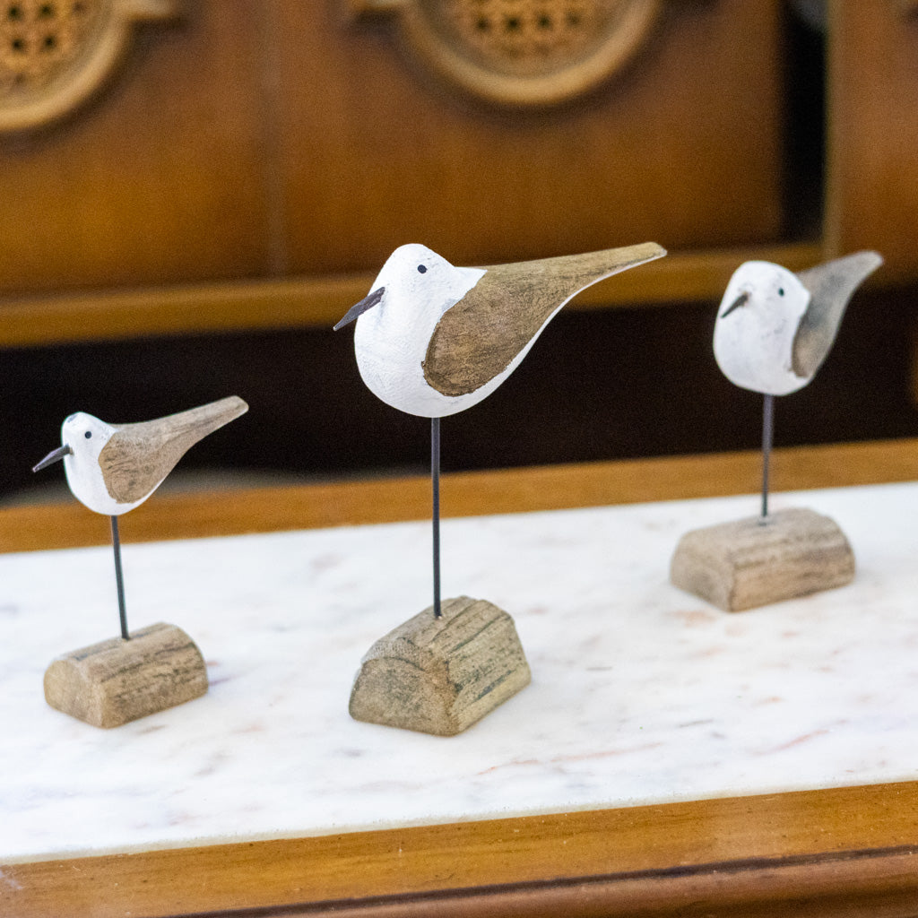 Seagull on Driftwood Tall