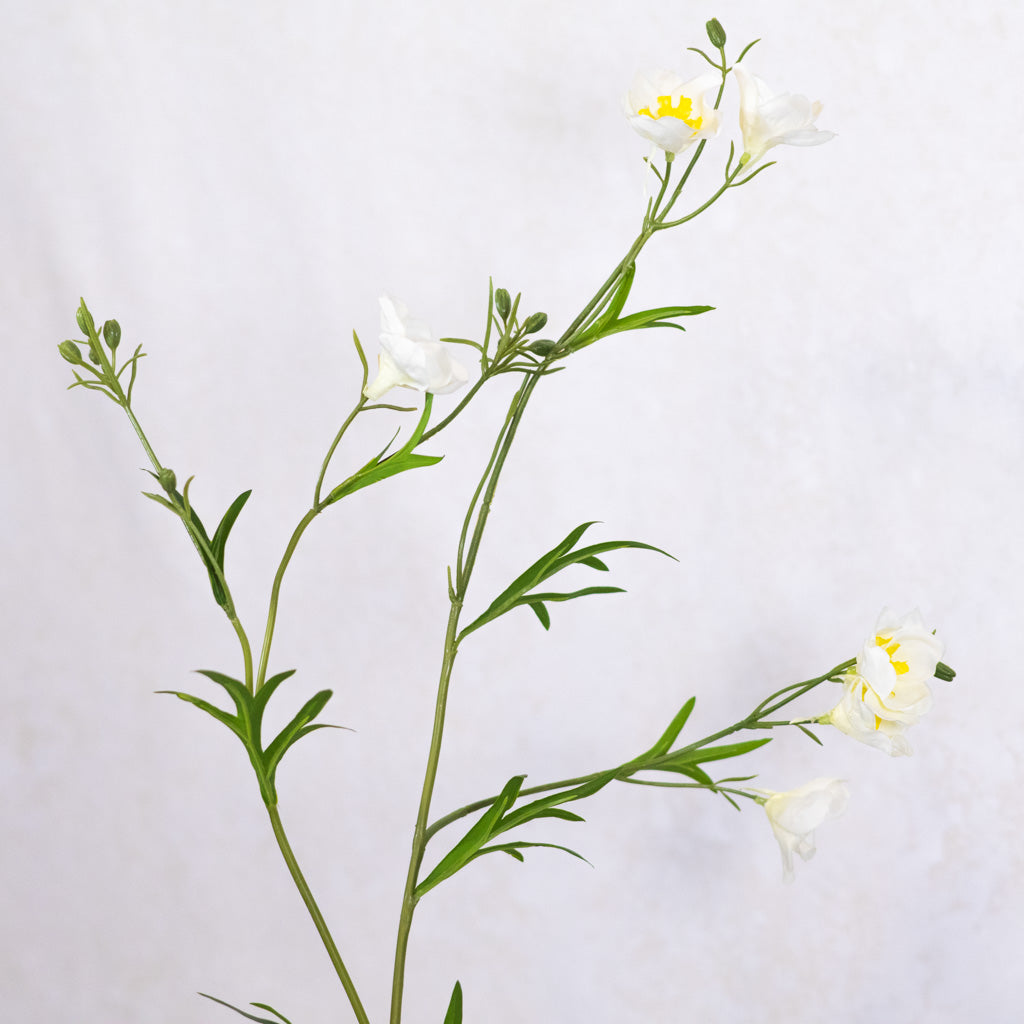 Cream Wild Delphinium Spray