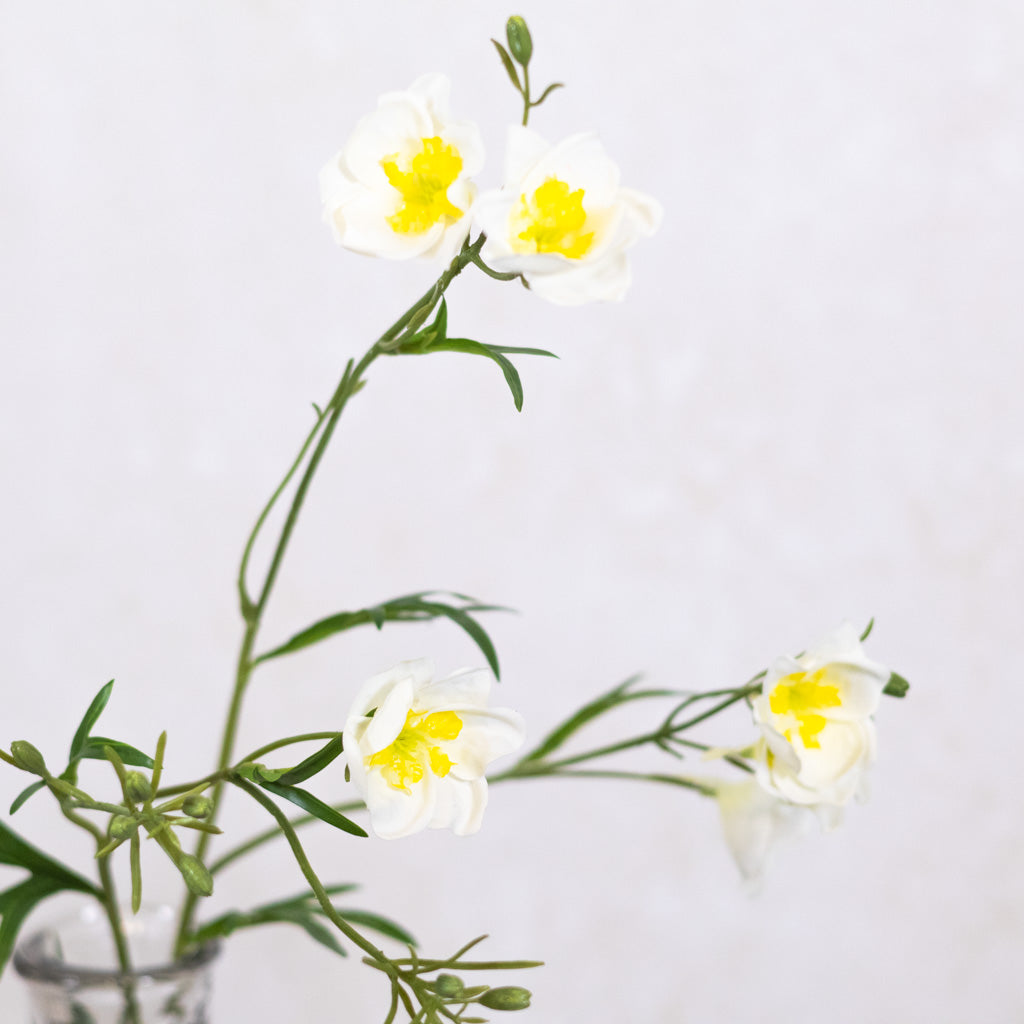 Cream Wild Delphinium Spray