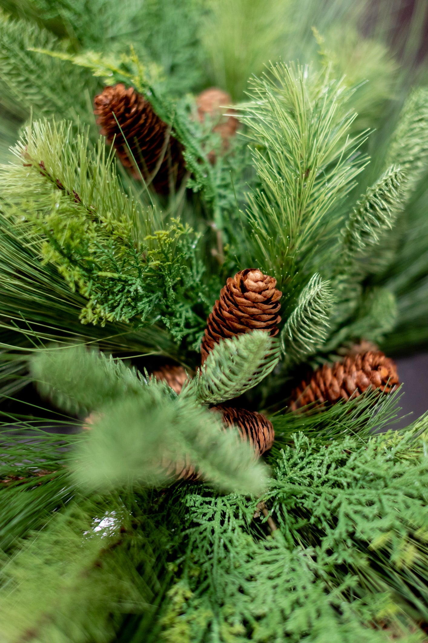 Mixed Pine Center Swag