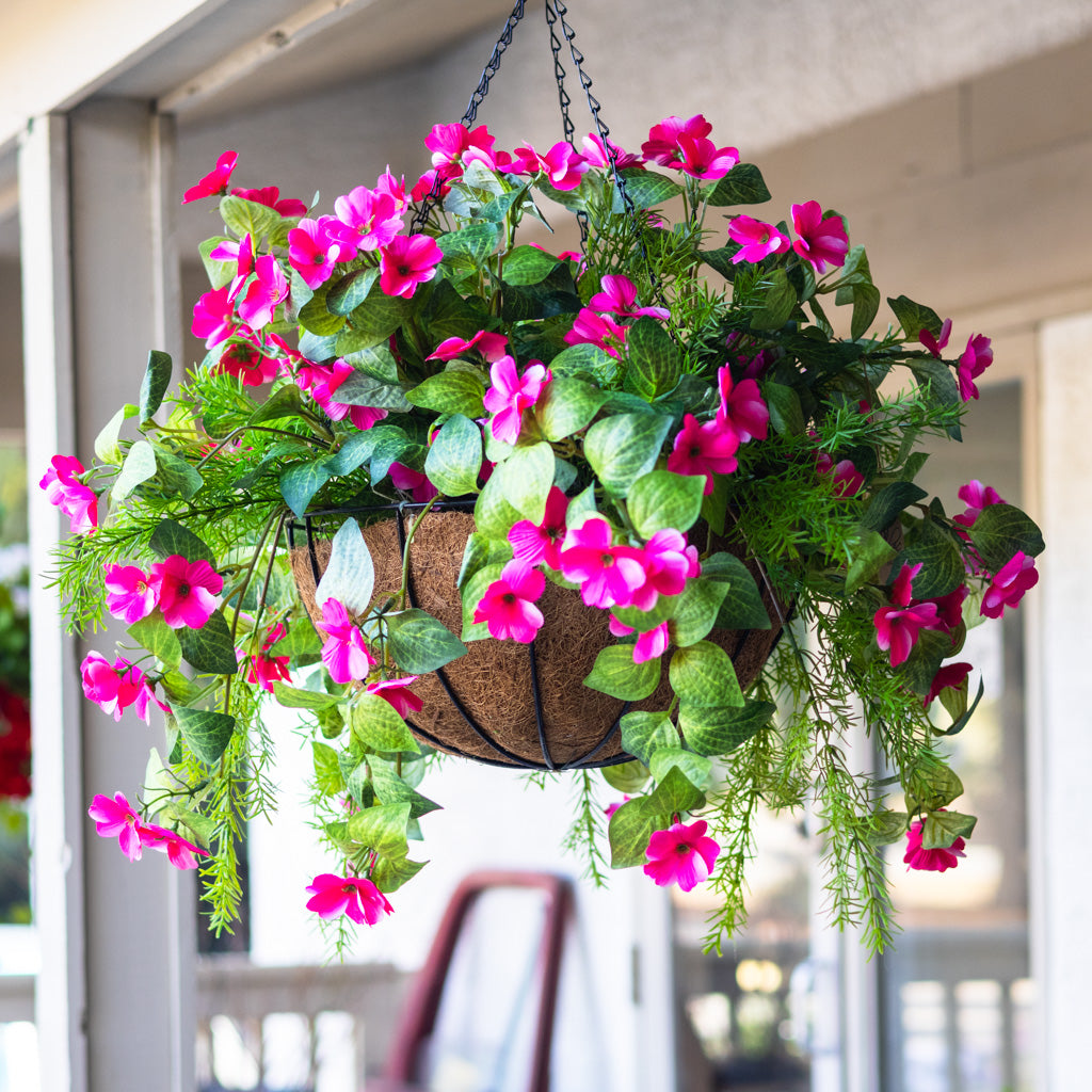 UV Pink Impatiens and Asparagus Hanging Basket
