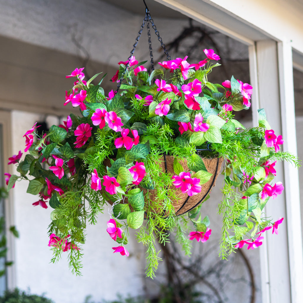 UV Pink Impatiens and Asparagus Hanging Basket
