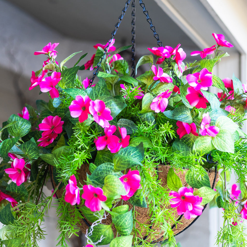 UV Pink Impatiens and Asparagus Hanging Basket