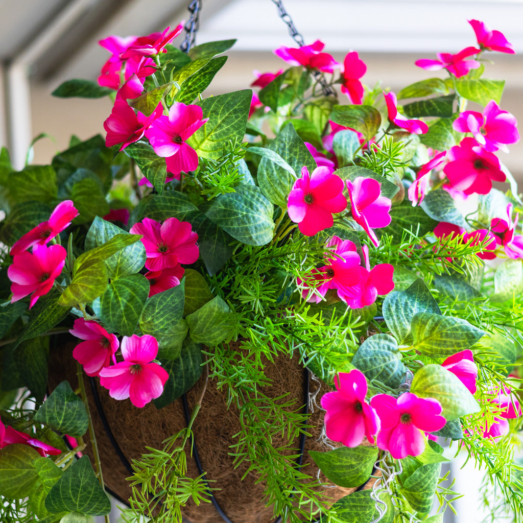 UV Pink Impatiens and Asparagus Hanging Basket