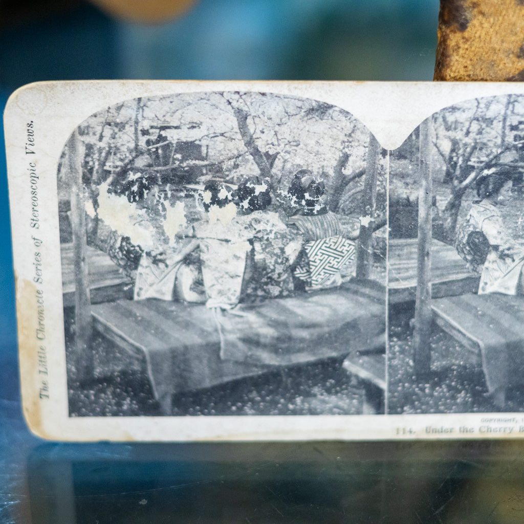 Little Chronicle Series Stereoview 114- Under the Cherry Blossoms