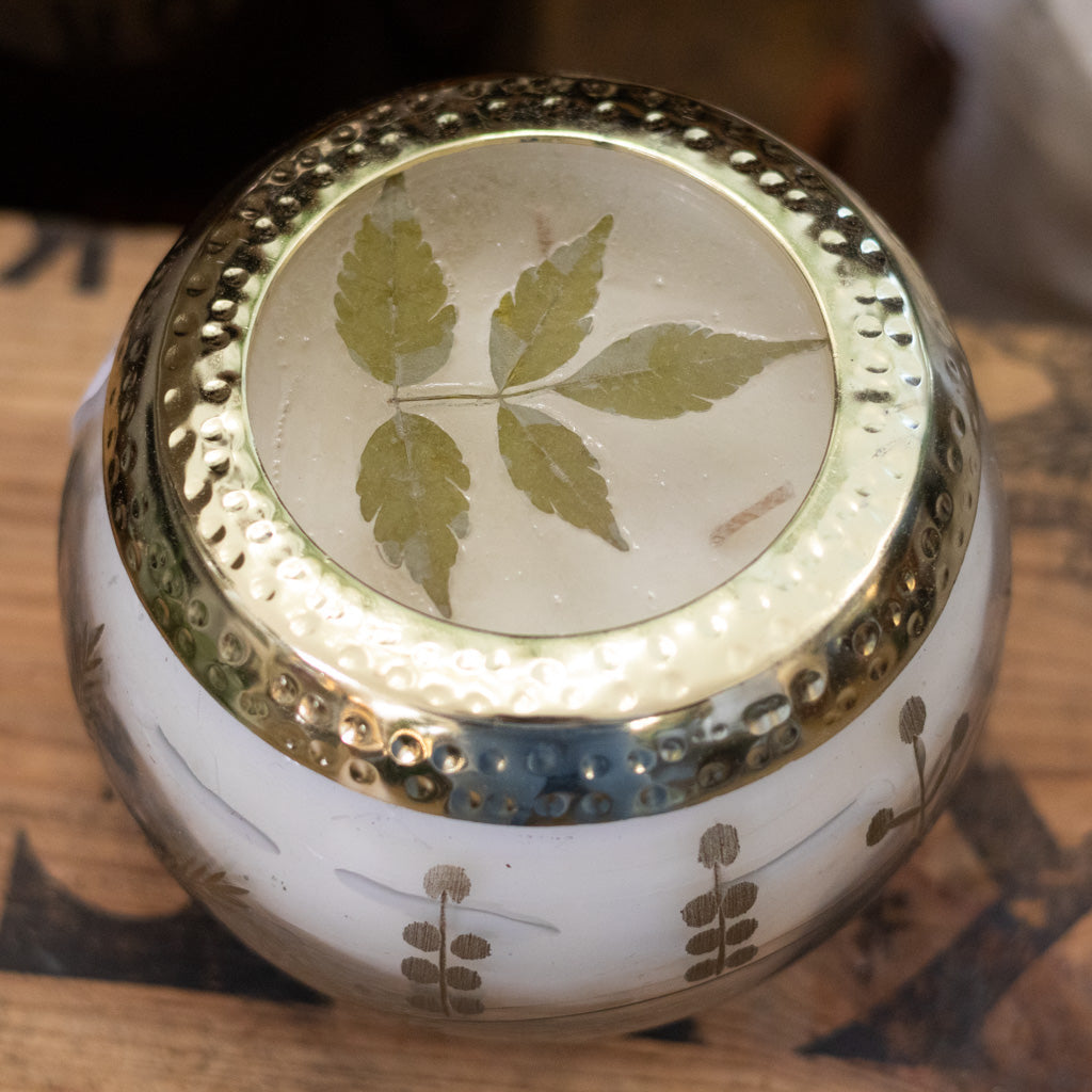Frosted Juniper Candle in Glass with Lid