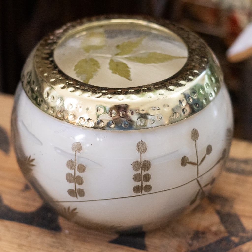 Frosted Juniper Candle in Glass with Lid