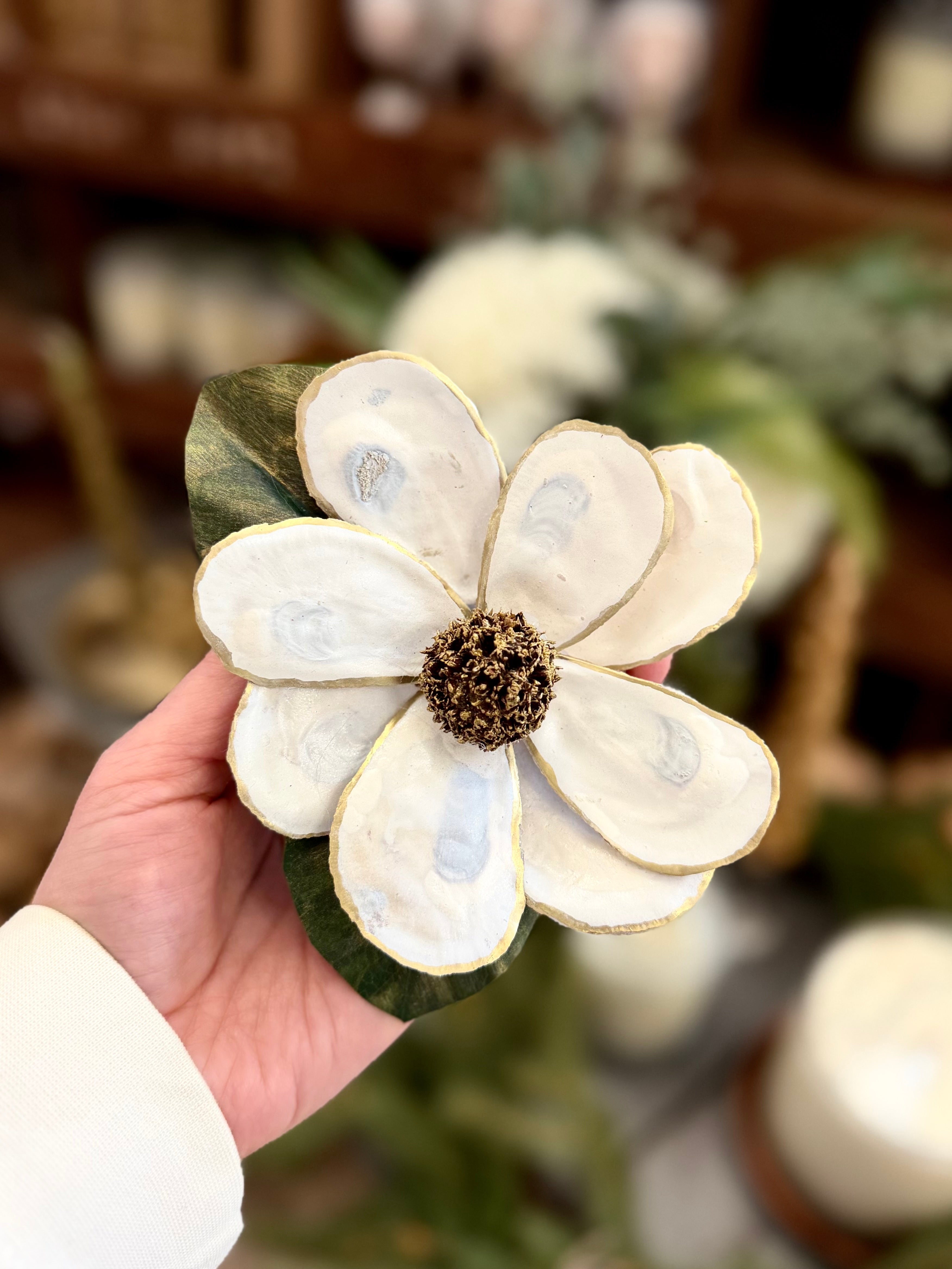 White Oyster Shell Magnolia Flower in Gift Box White