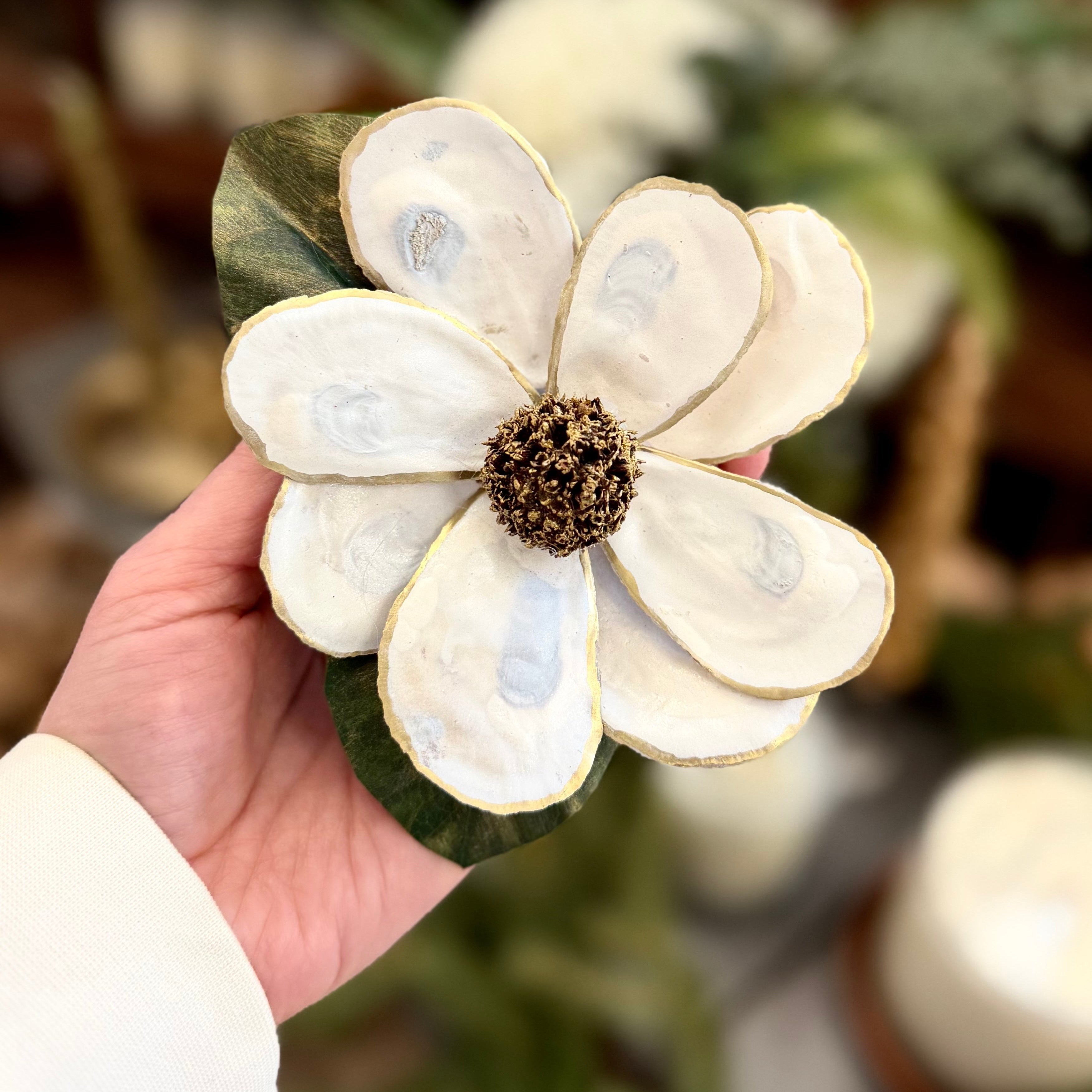 White Oyster Shell Magnolia Flower in Gift Box White