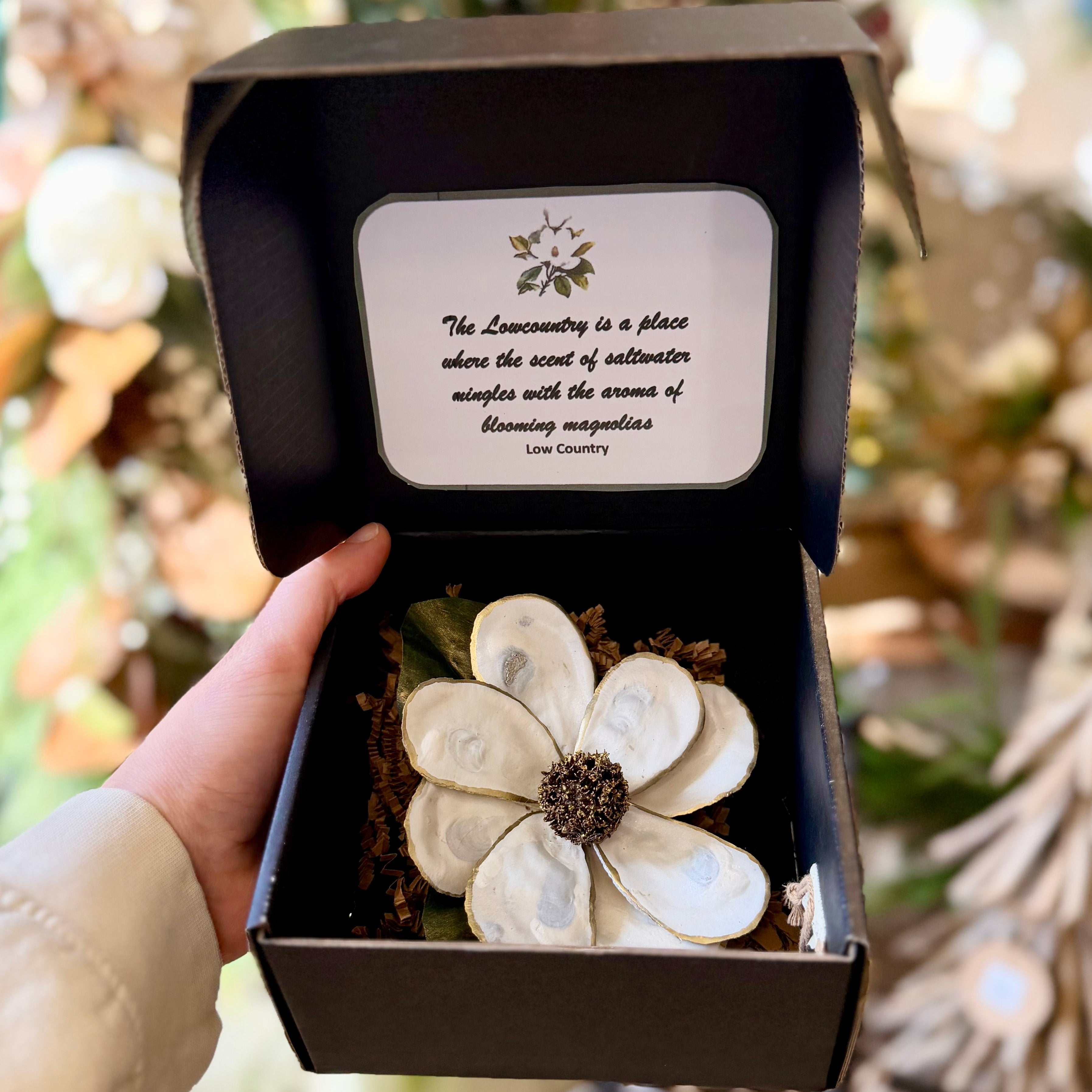 White Oyster Shell Magnolia Flower in Gift Box White