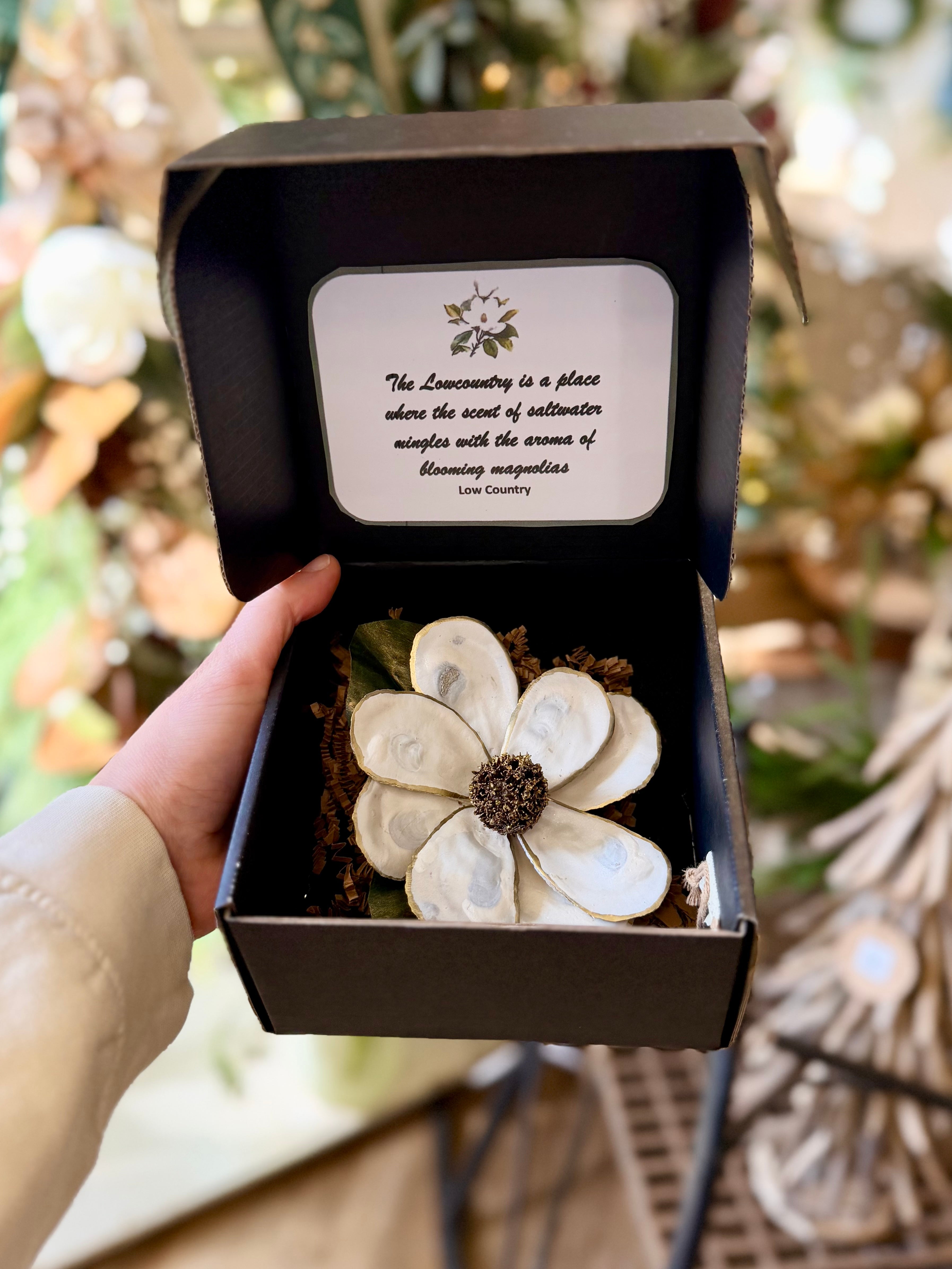 White Oyster Shell Magnolia Flower in Gift Box White